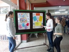 IMG_20171116_095411.jpg
